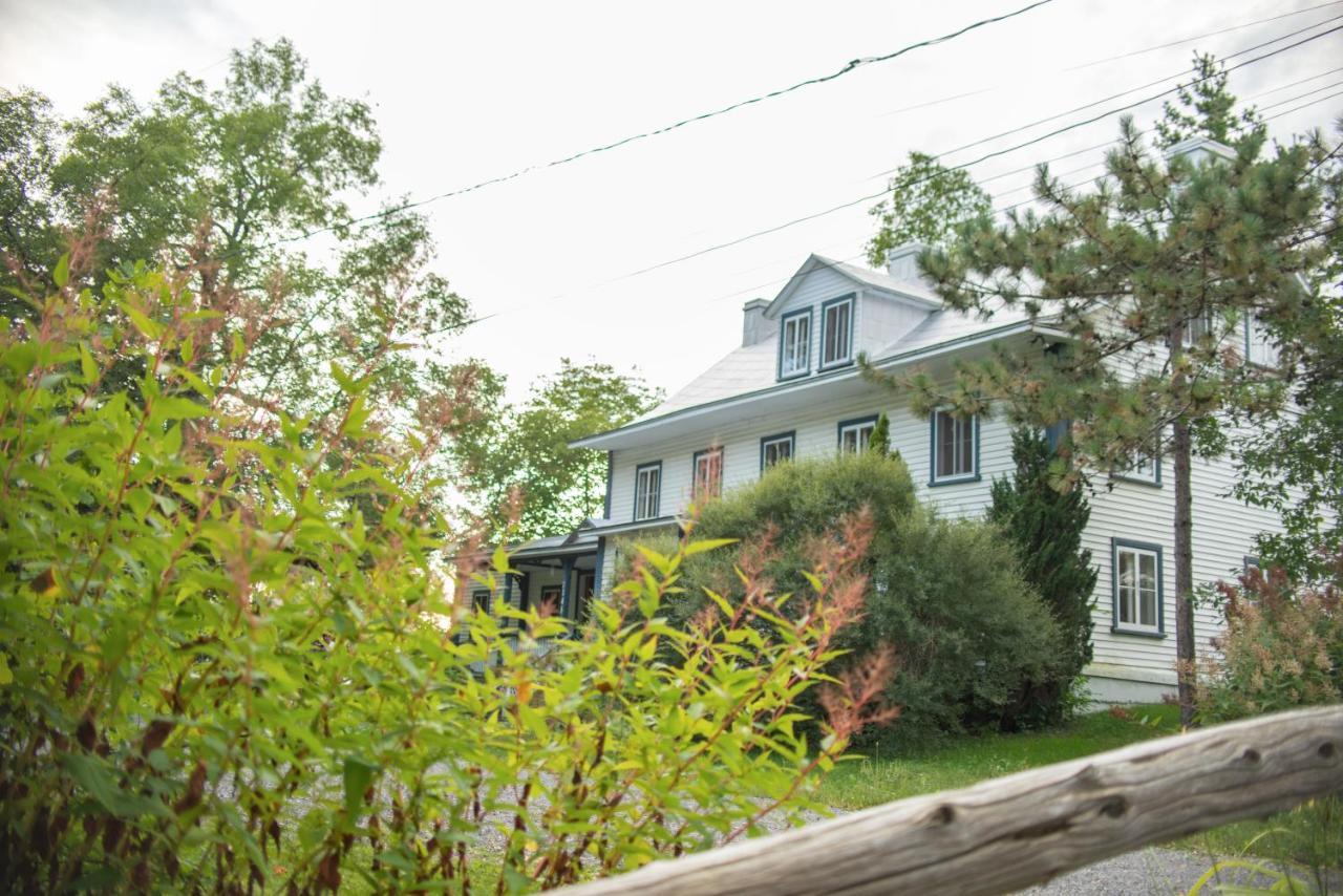 Hotel Le Triangle d'été - auberge écoresponsable&yoga Saint-Laurent-de-l'ile d'Orleans Esterno foto