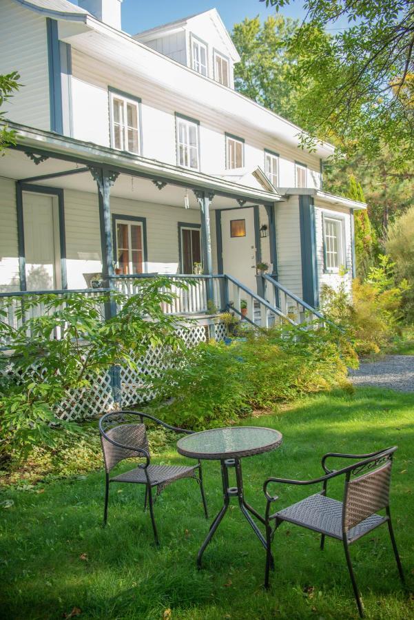 Hotel Le Triangle d'été - auberge écoresponsable&yoga Saint-Laurent-de-l'ile d'Orleans Esterno foto