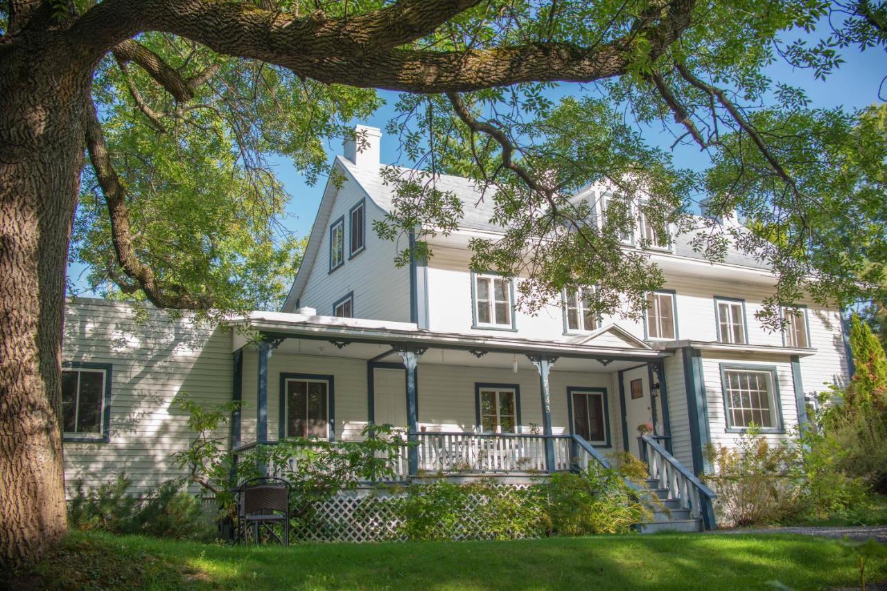 Hotel Le Triangle d'été - auberge écoresponsable&yoga Saint-Laurent-de-l'ile d'Orleans Esterno foto